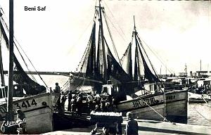 Beni saf 503